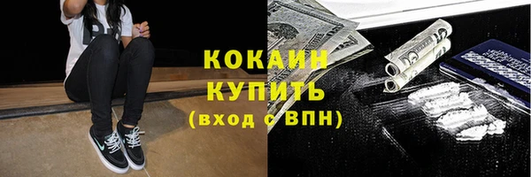 мет Протвино