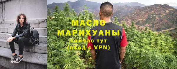 мет Протвино