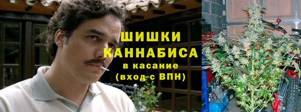 мет Протвино