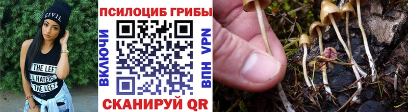 Галлюциногенные грибы Psilocybine cubensis  цены   Костомукша 